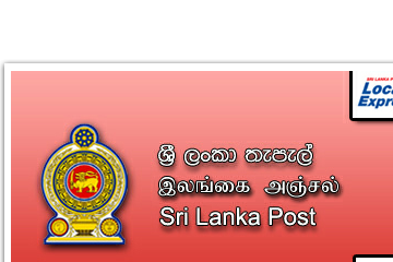Department Of Post